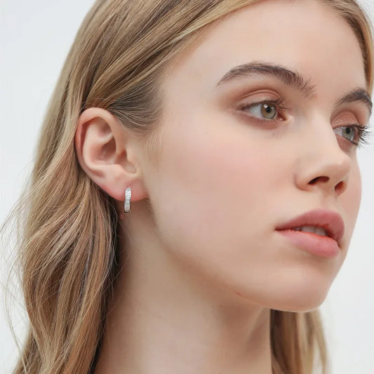 Sterling Silver Shining Zircon Circle Earrings