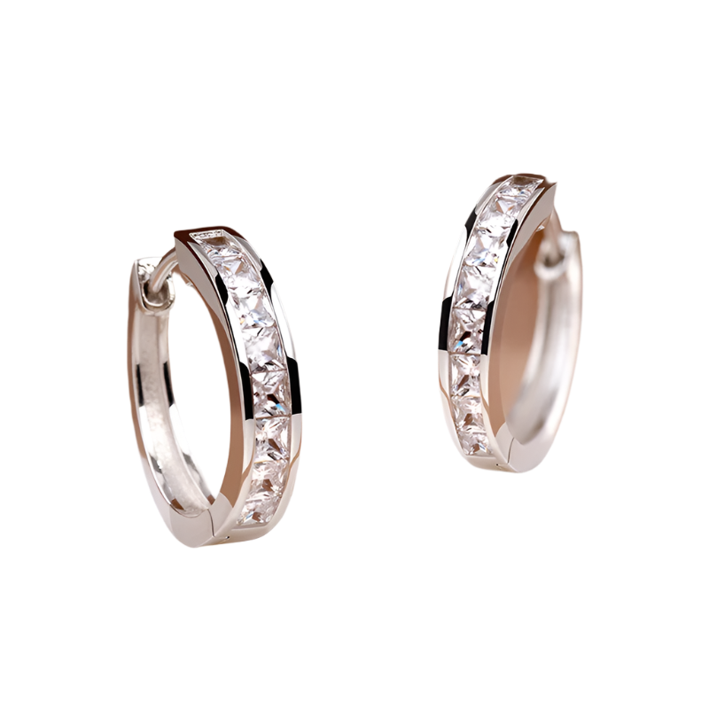 Sterling Silver Shining Zircon Circle Earrings